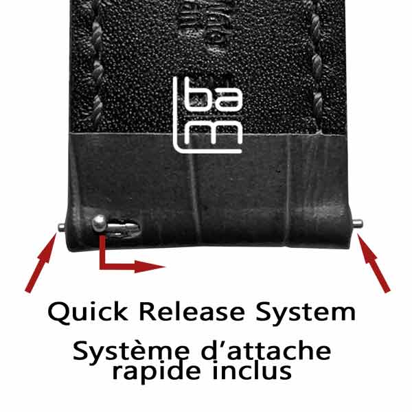 système Quick Release pompes rapides bracelet montre